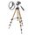 Штатив Arsenal ARS-1120 Штатив Arsenal ARS-1120