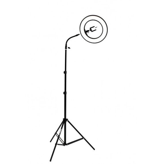 Кольцевая светодиодная LED лампа DivaRing LED-650, изображение 4