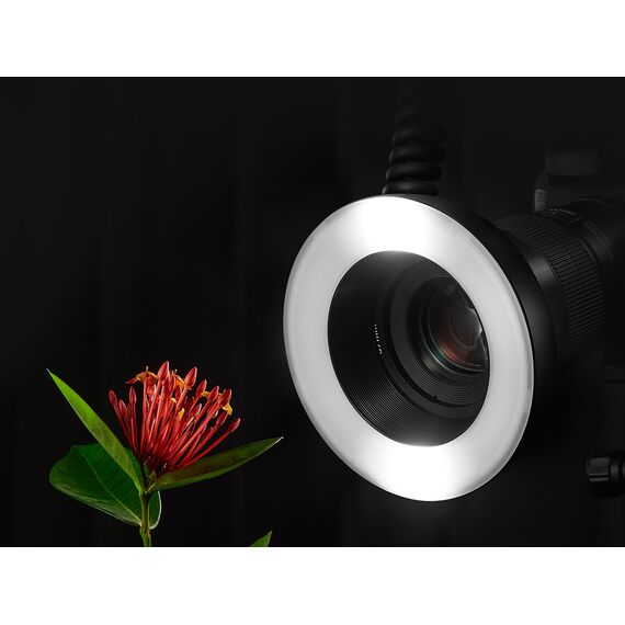Godox MF-R76 профессиональная кольцевая вспышка для макросъемки, изображение 8